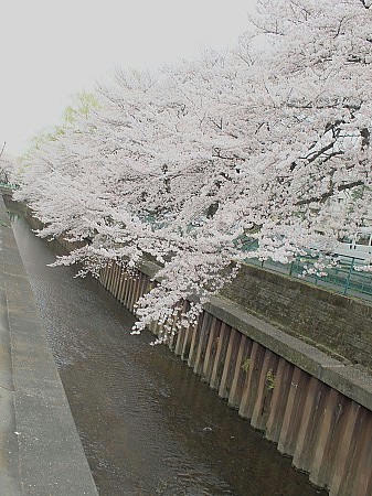 P4043164.JPG