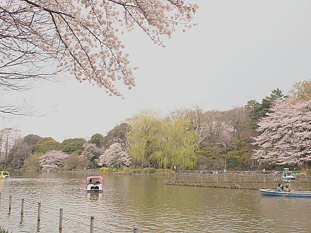 P4043181.JPG