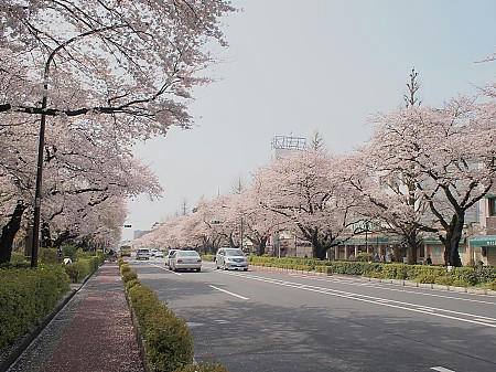 P4063196.JPG