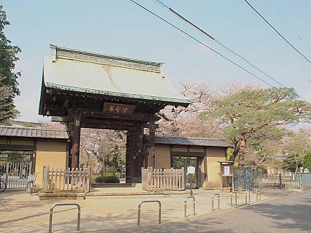 P4103337.JPG