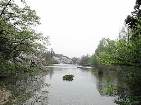 IMG_7109.JPG