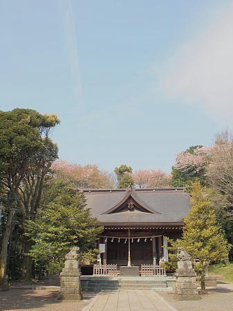 P4193415.JPG