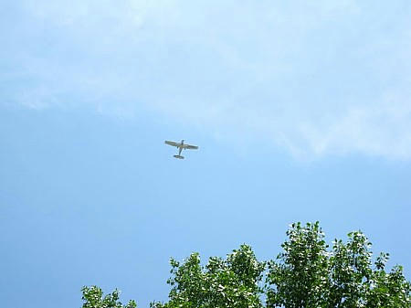 IMG_7475.JPG
