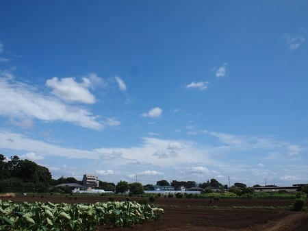 P8033911.JPG