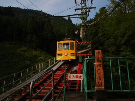 P8153929.JPG