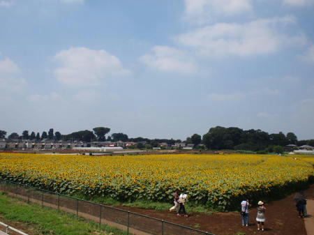 71f4f7db.JPG