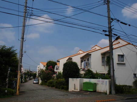 97e7a35c.JPG