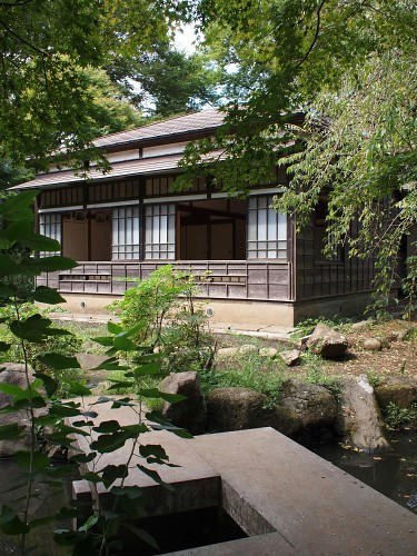 PA074225.JPG