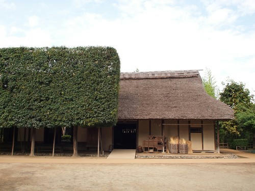 PA074247.JPG