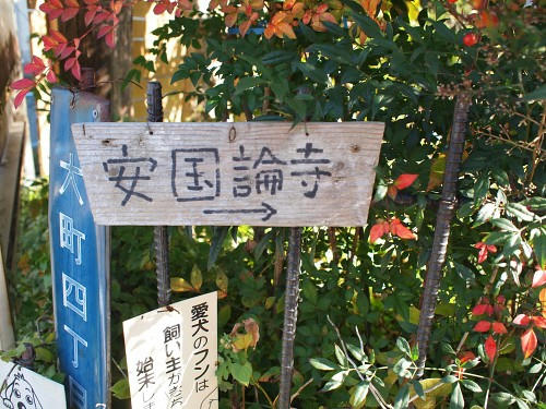 PB160120.JPG