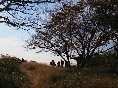 PB160189.JPG