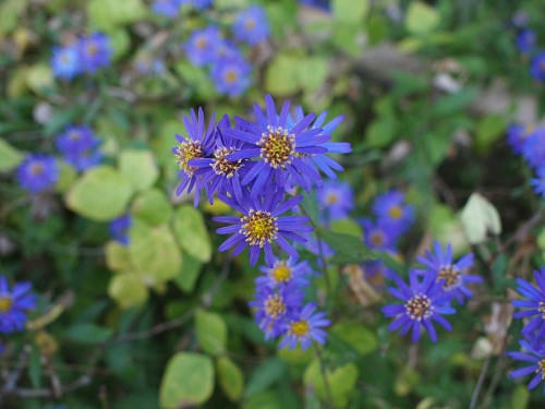 PB160133.JPG