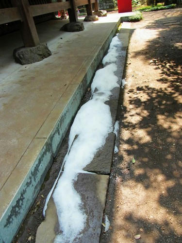 RIMG0033.JPG