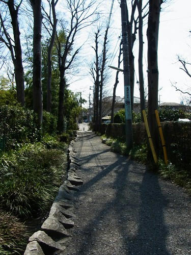 RIMG0070.JPG