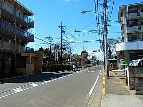 RIMG0081.JPG