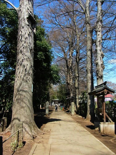 RIMG0083.JPG