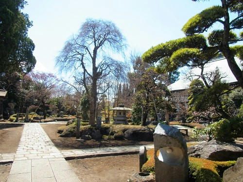 RIMG0093.JPG