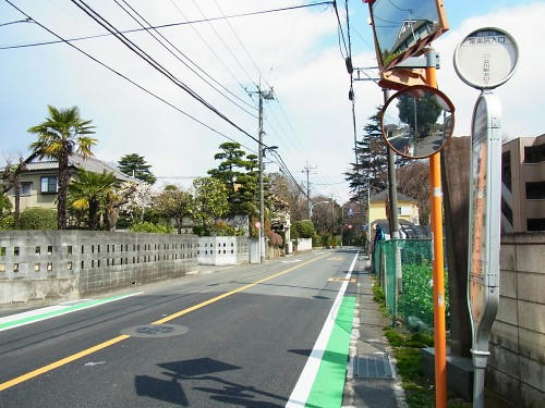 RIMG0183.JPG