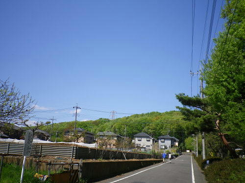 15b9a89e.JPG