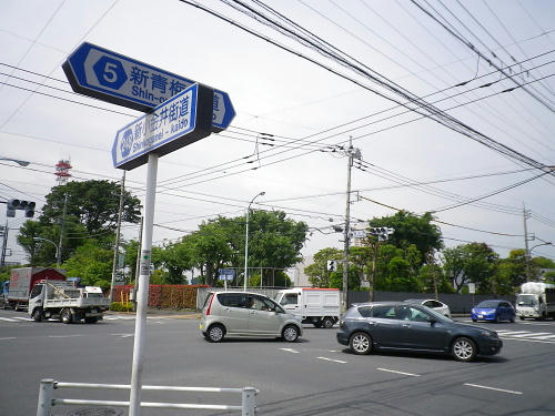 93d4470d.JPG