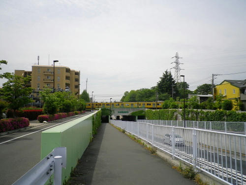 dd50ce59.JPG