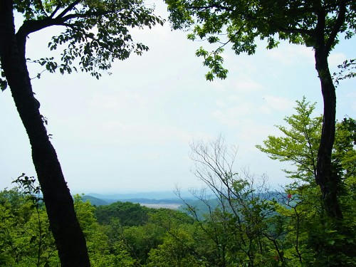RIMG0628.JPG