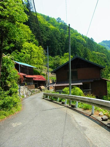RIMG0667.JPG