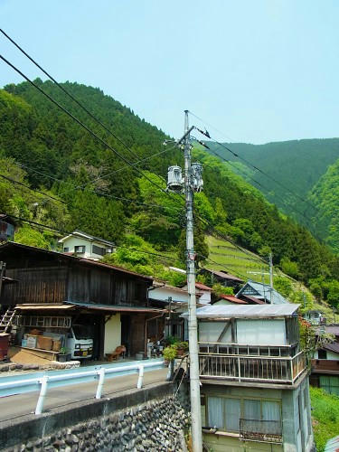 RIMG0682.JPG