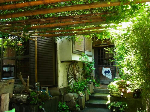 RIMG0776.JPG