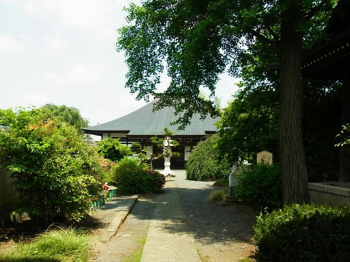 RIMG0756.JPG