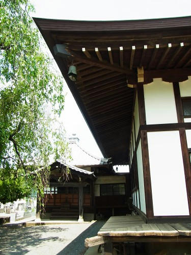 RIMG0761.JPG