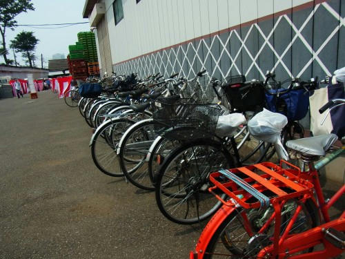 RIMG0786.JPG