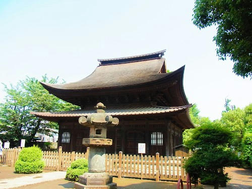 RIMG0813.JPG
