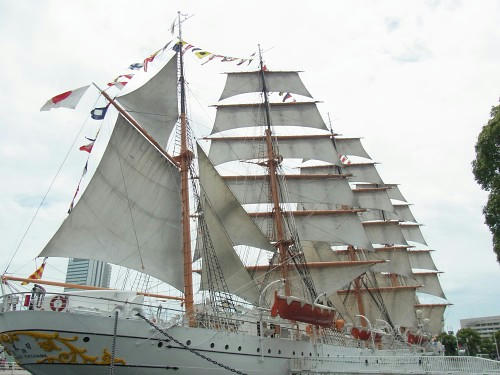 RIMG0883.JPG