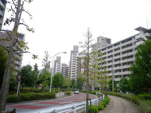 32c4d762.JPG