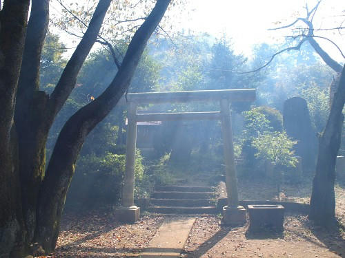 PA122657.JPG