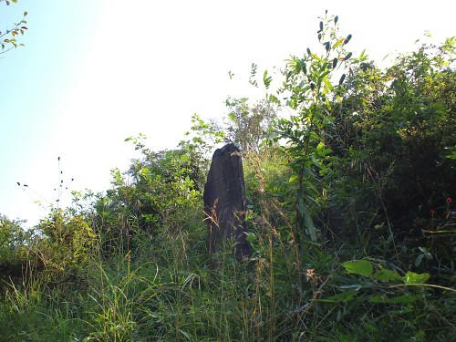 PA122678.JPG