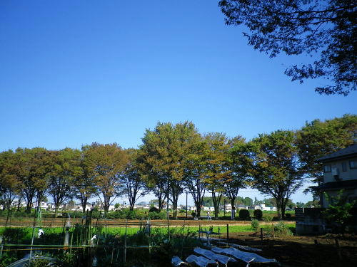 71778d0d.JPG