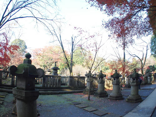 PC073051.JPG