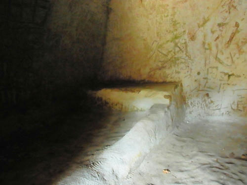 RIMG1319.JPG