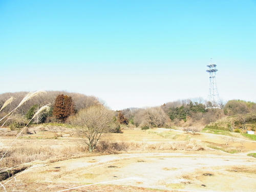 RIMG1282.JPG