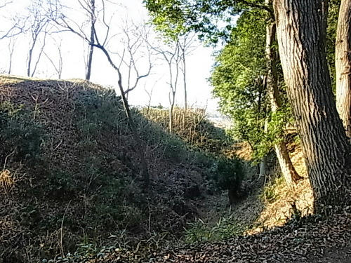 RIMG1311.JPG