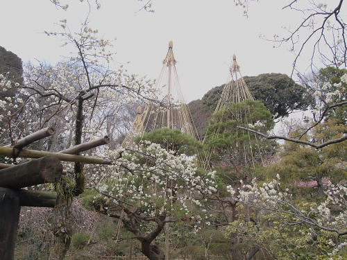 P3263131.JPG