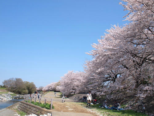 P4123325.JPG