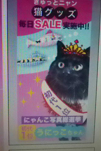 rakuten2.JPG