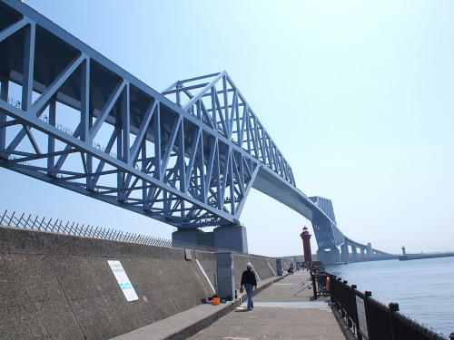 P4243419.JPG