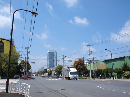P4243384.JPG