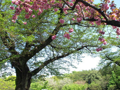 P4283450.JPG