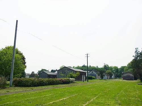 RIMG1454.JPG