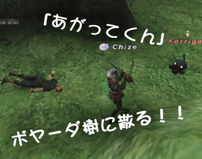20100127-02.jpg